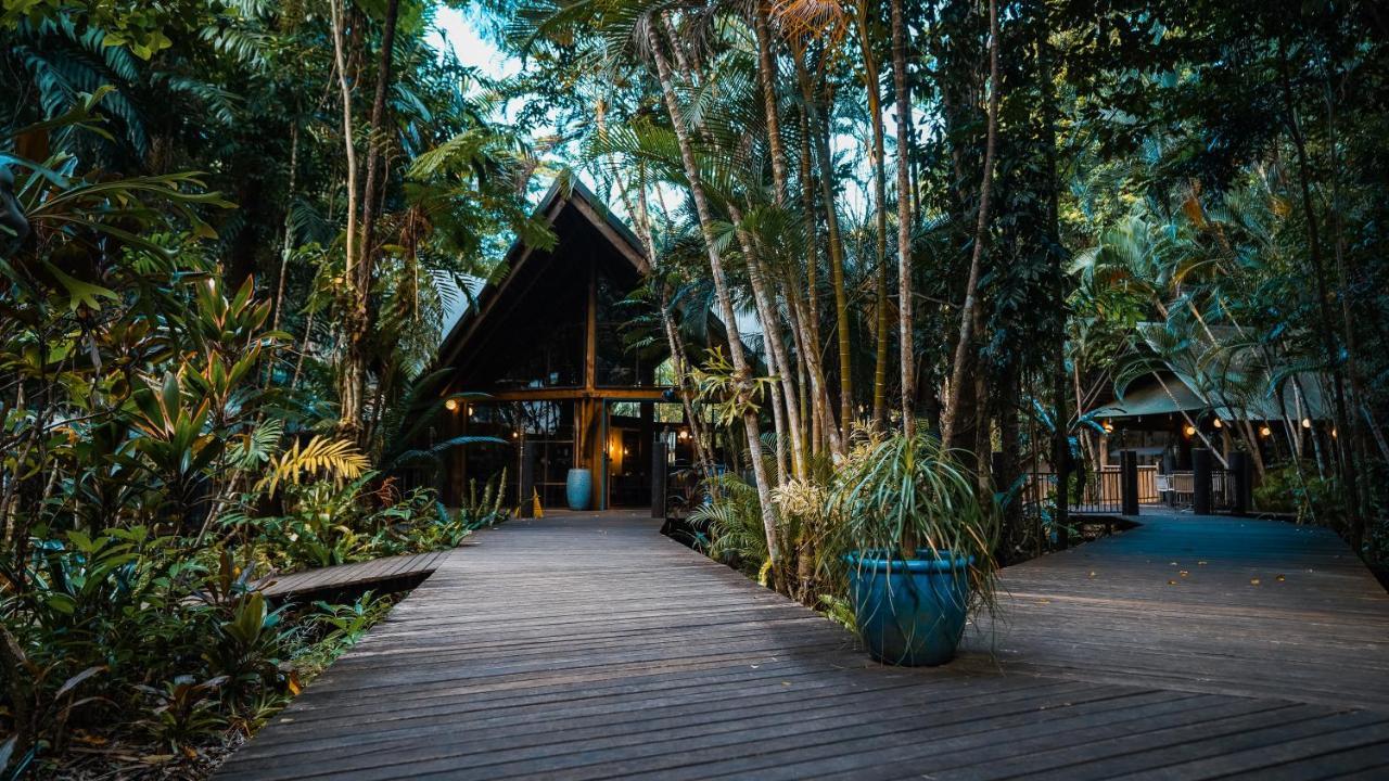 Ferntree Rainforest *
