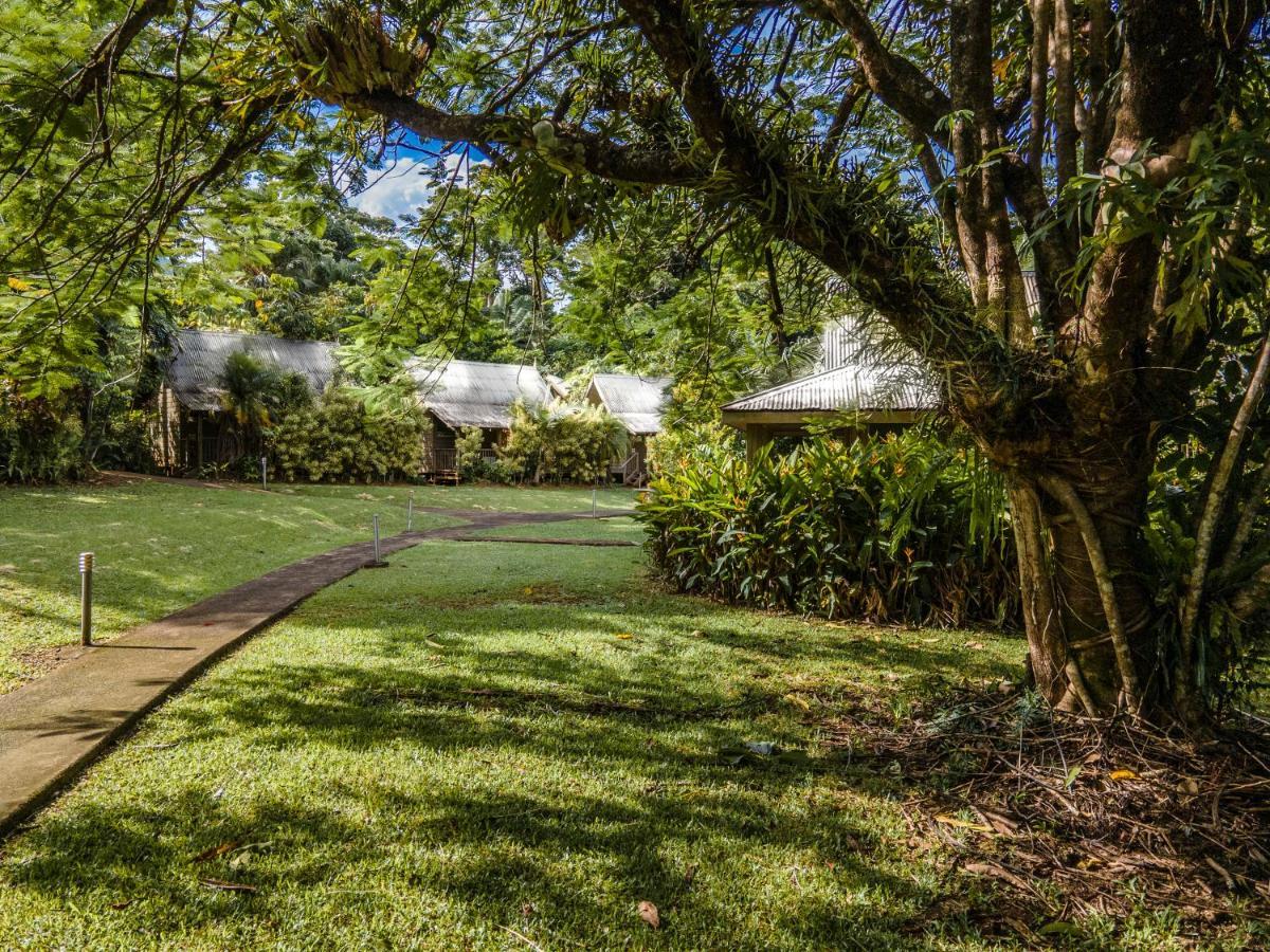 Ferntree Rainforest Lodge Cape Tribulation
