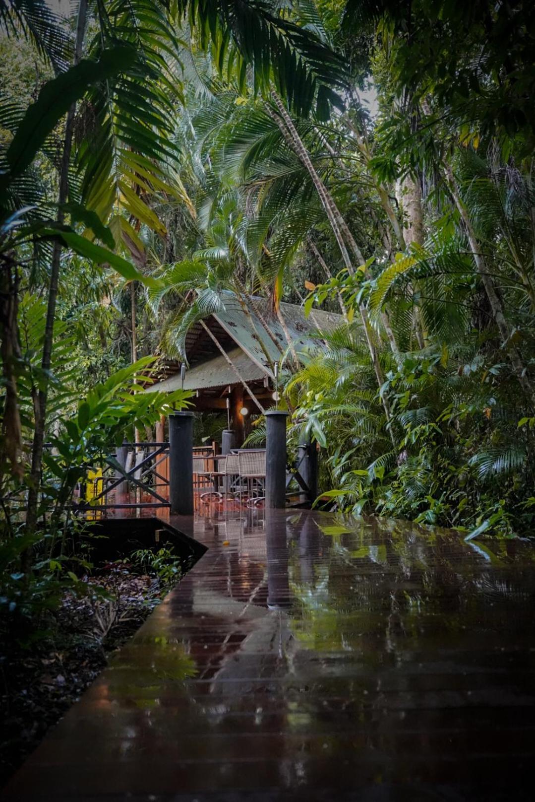 Ferntree Rainforest Lodge *