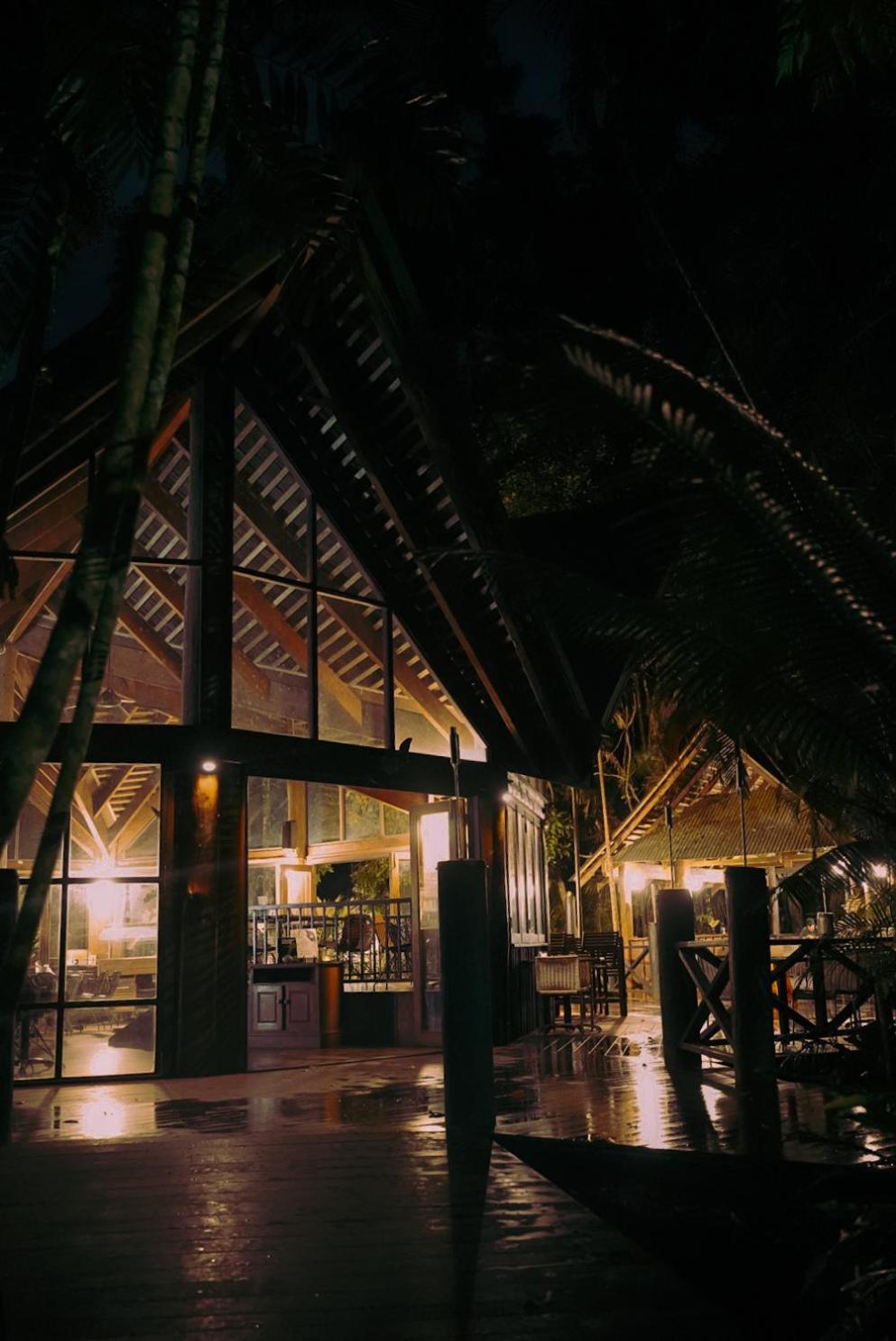 Lodge Ferntree Rainforest Cape Tribulation