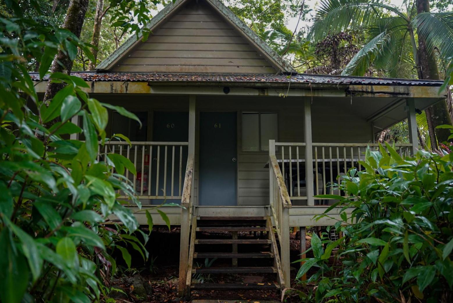 Ferntree Rainforest Lodge
