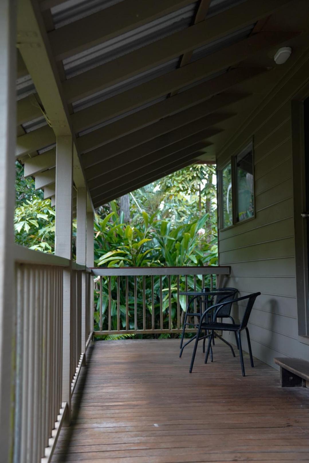 Lodge Ferntree Rainforest Cape Tribulation