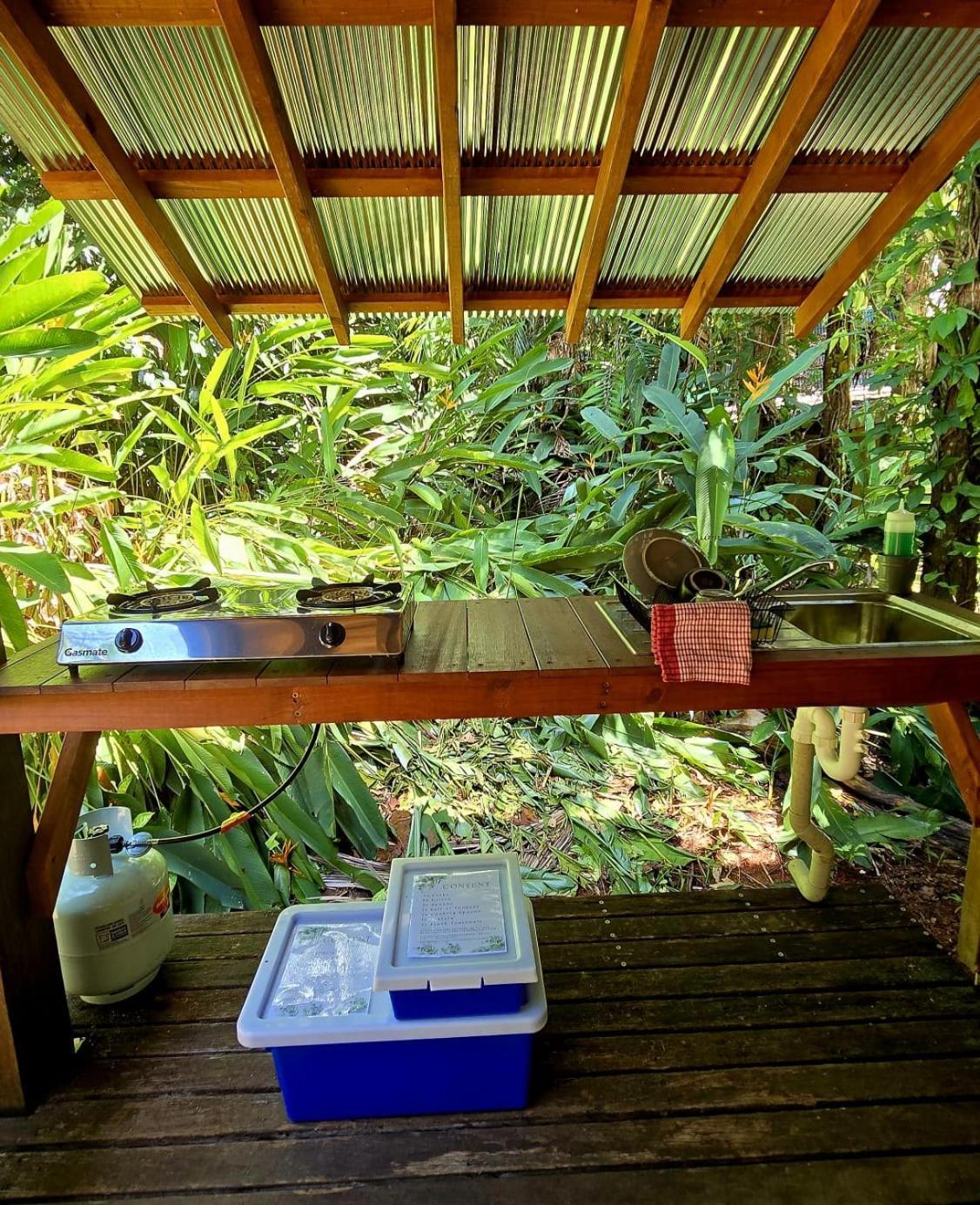 Ferntree Rainforest
