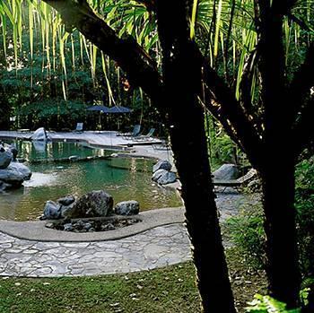 Ferntree Rainforest Lodge *