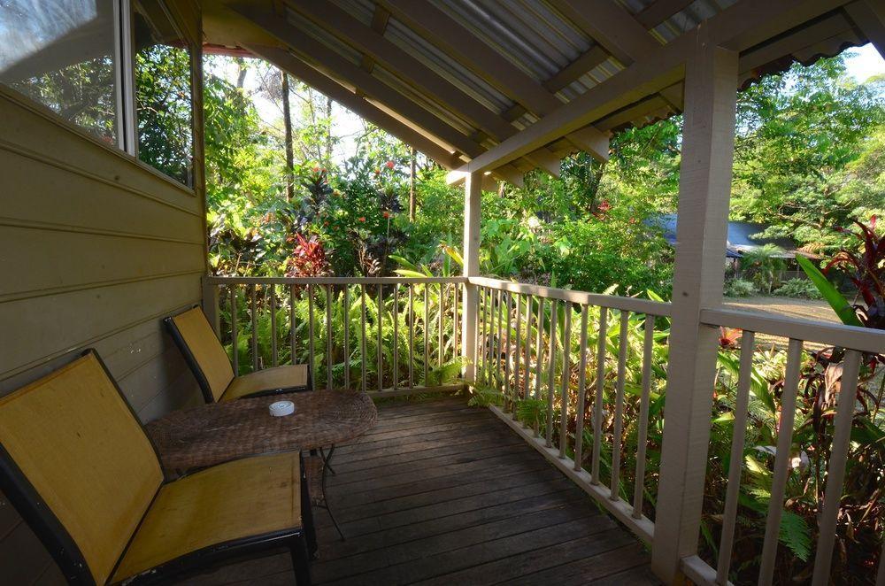 Lodge Ferntree Rainforest *