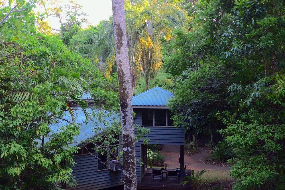 Lodge Ferntree Rainforest