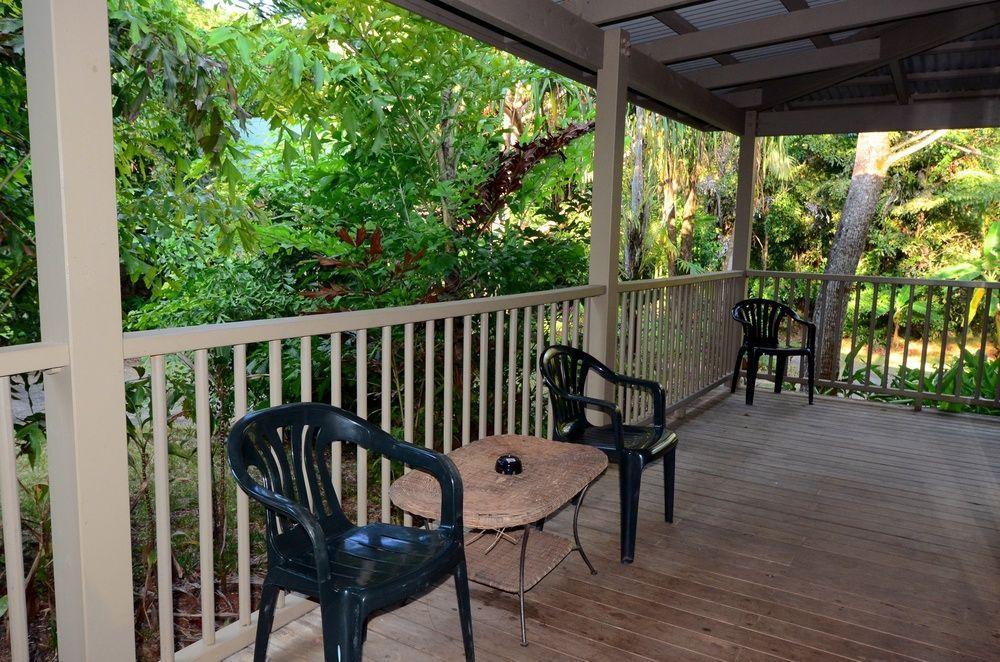 Lodge Ferntree Rainforest Cape Tribulation