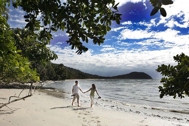 Lodge Ferntree Rainforest Cape Tribulation