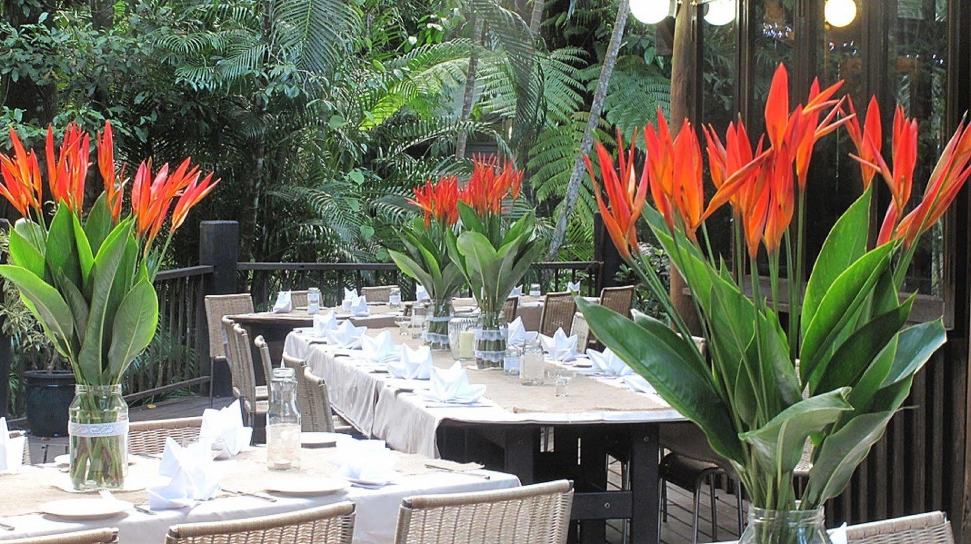 Lodge Ferntree Rainforest *