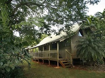 Ferntree Rainforest *