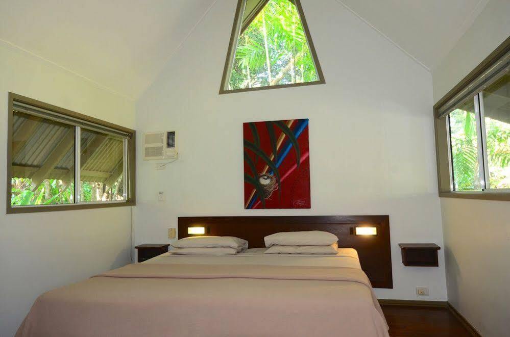 Lodge Ferntree Rainforest Cape Tribulation