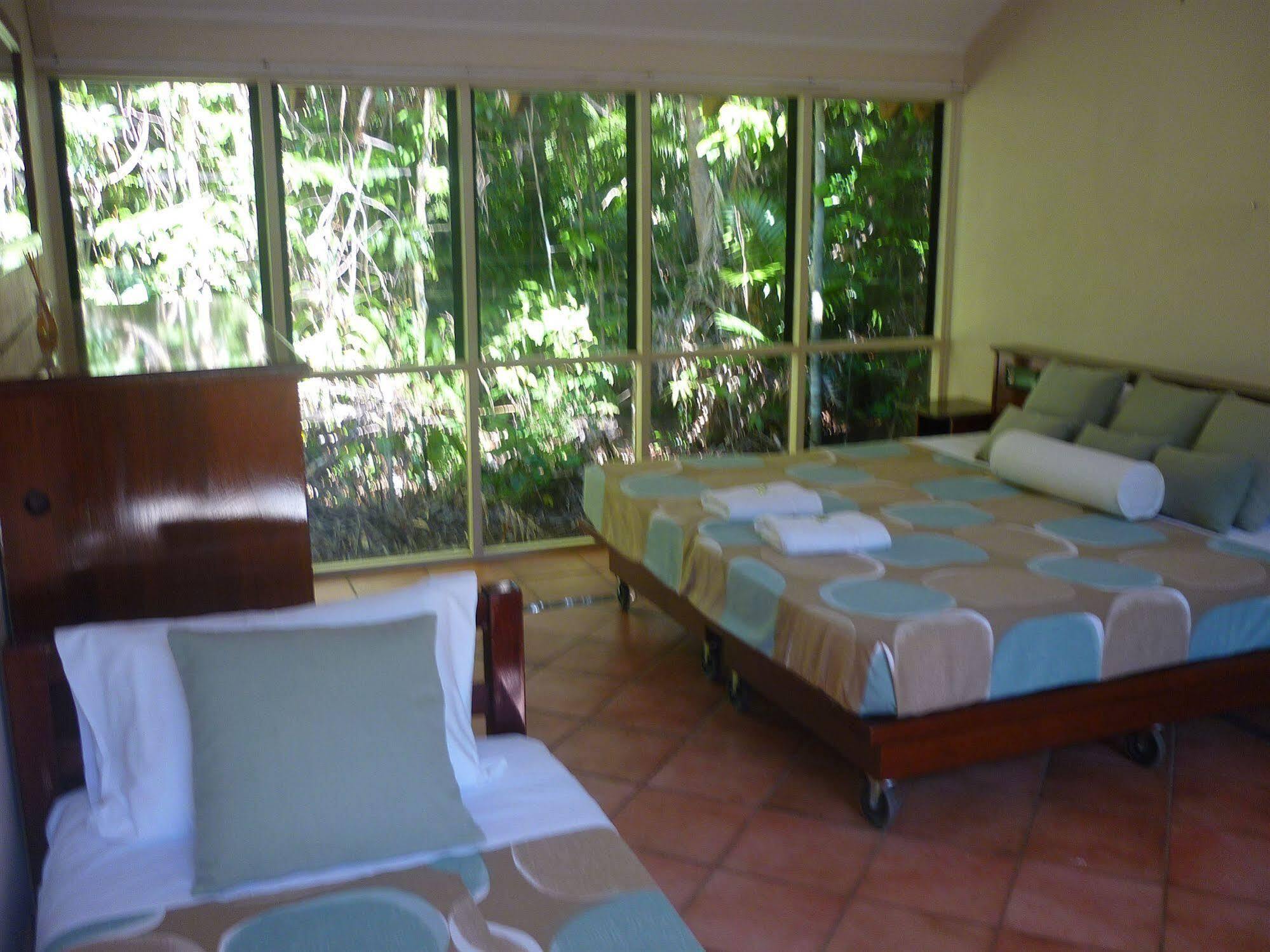 Ferntree Rainforest *