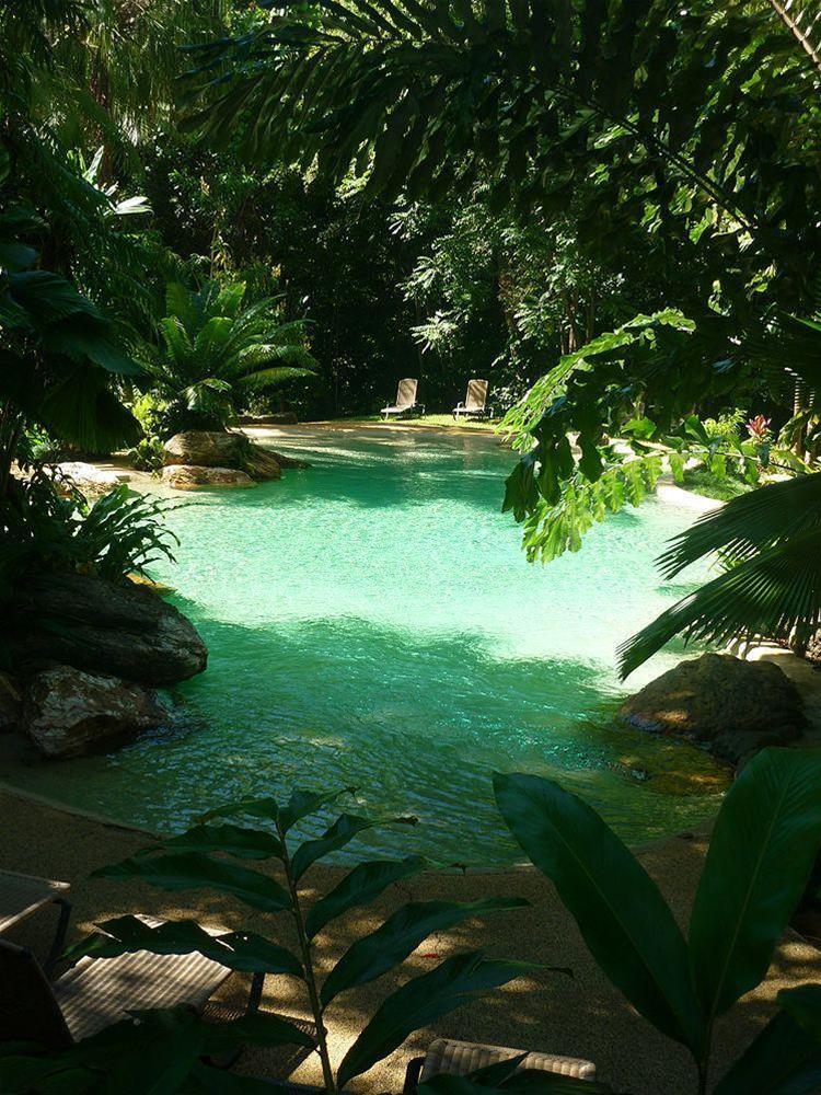 Lodge Ferntree Rainforest Cape Tribulation